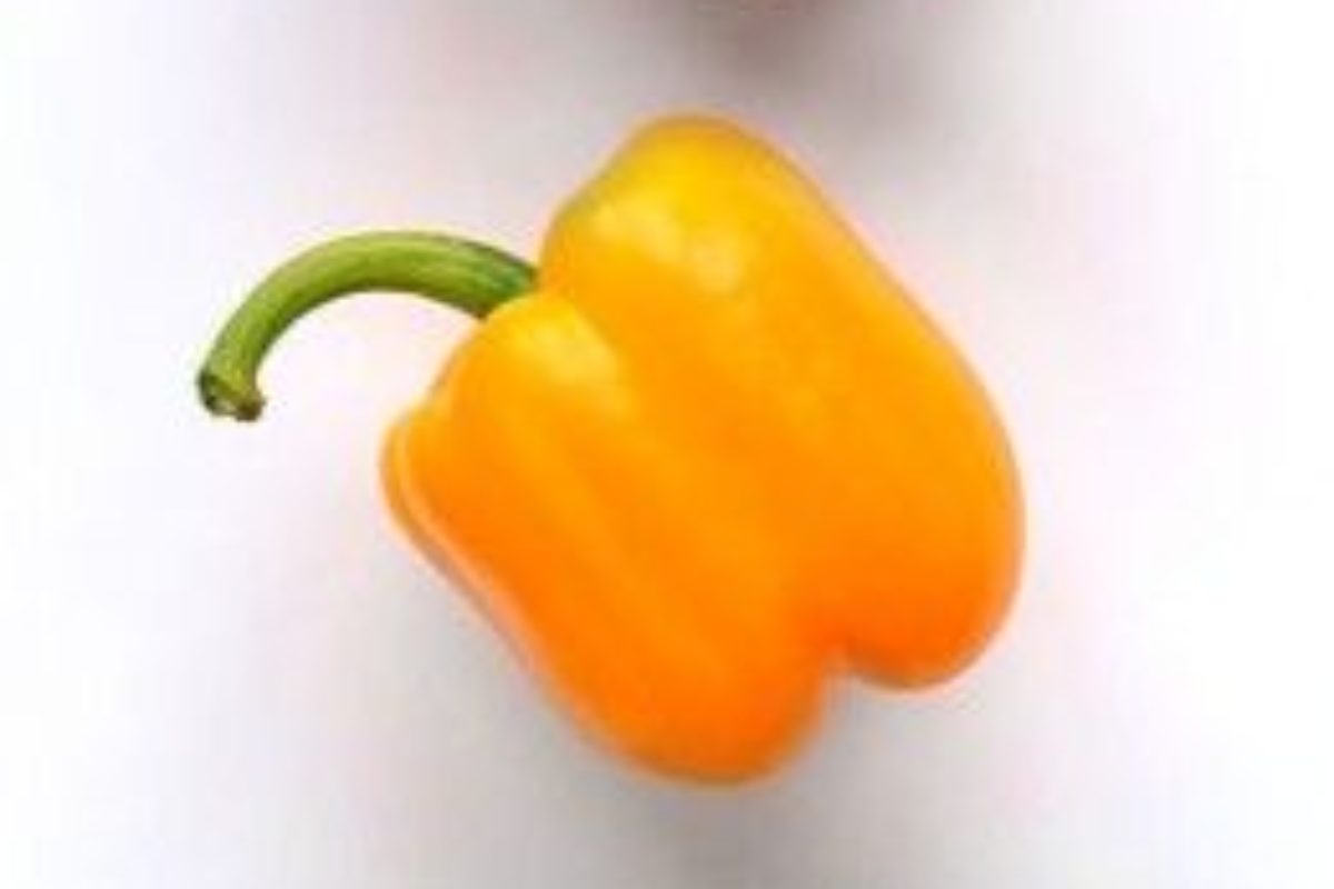 Starostlivosť o papriky – hnojivo na papriky