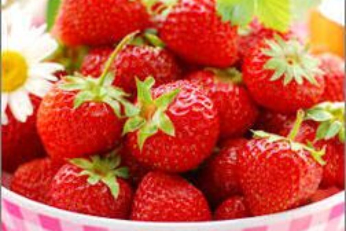 Kedy, ako a aké hnojivo na jahody používať?