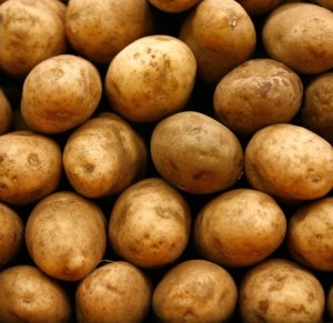 hnojivo na zemiaky